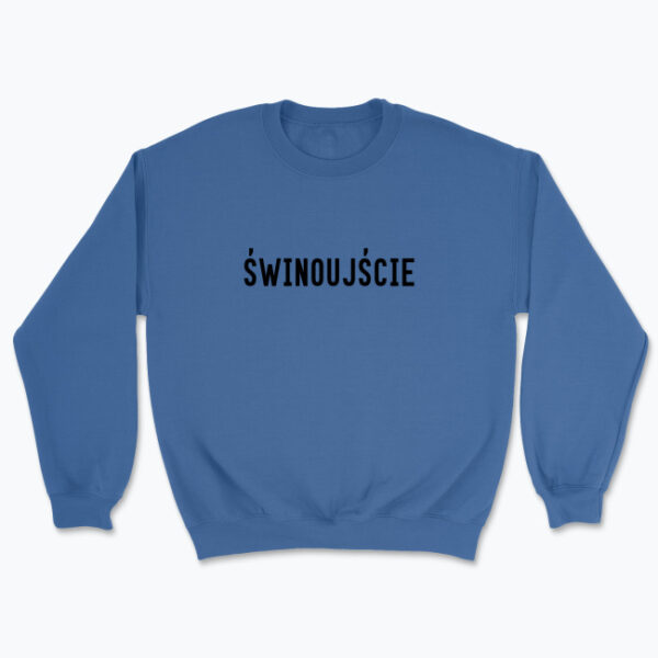 ŚWINOUJŚCIE - Bluza z napisem - obrazek 15