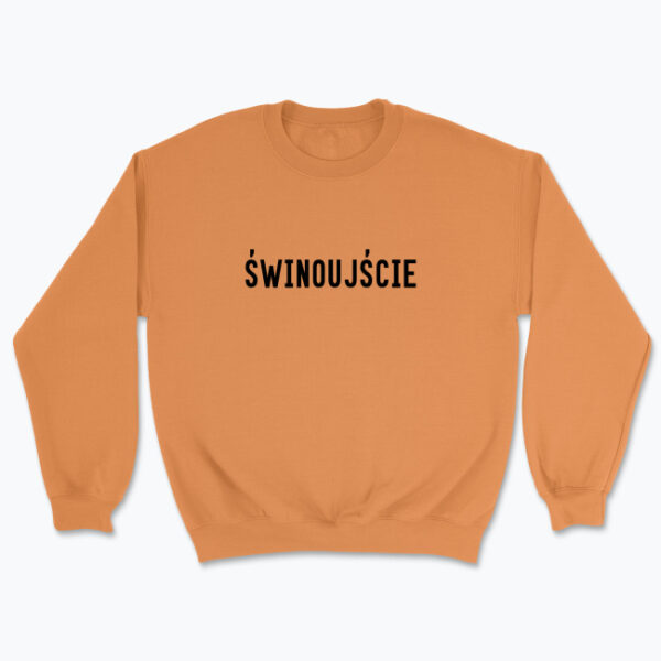 ŚWINOUJŚCIE - Bluza z napisem - obrazek 7